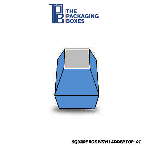 square-box-with-ladder-top
